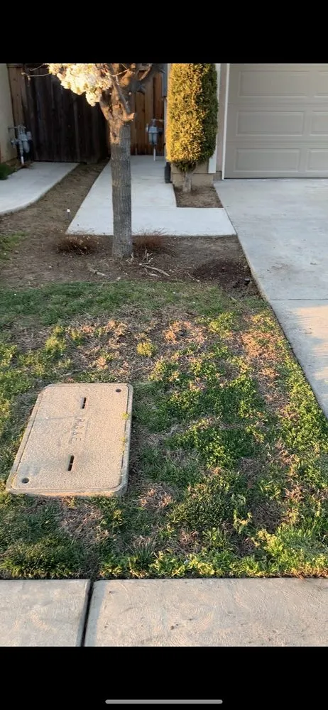 Custom lawn care service in Fresno, CA by Ultimate Landscape and Tree Service