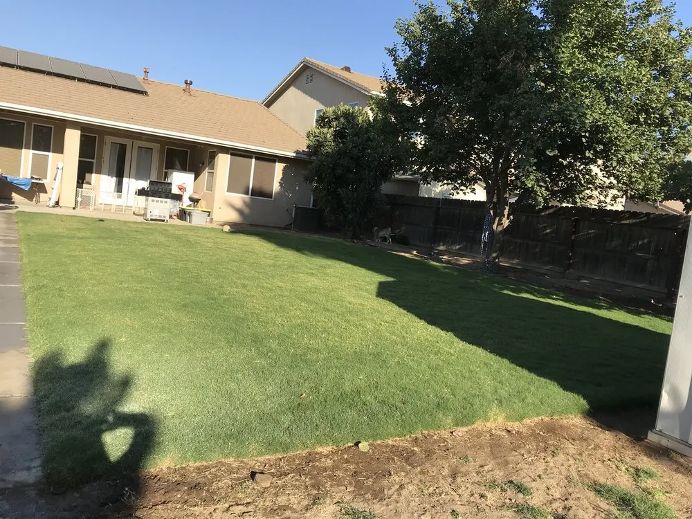 Local lawn care service in Fresno, CA by Ultimate Landscape and Tree Service