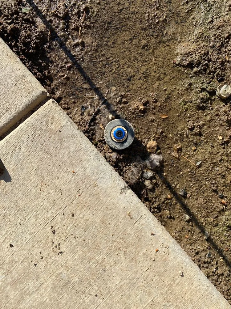 Affordable yard cleanup service experts serving Fresno, CA - Ultimate Landscape and Tree Service