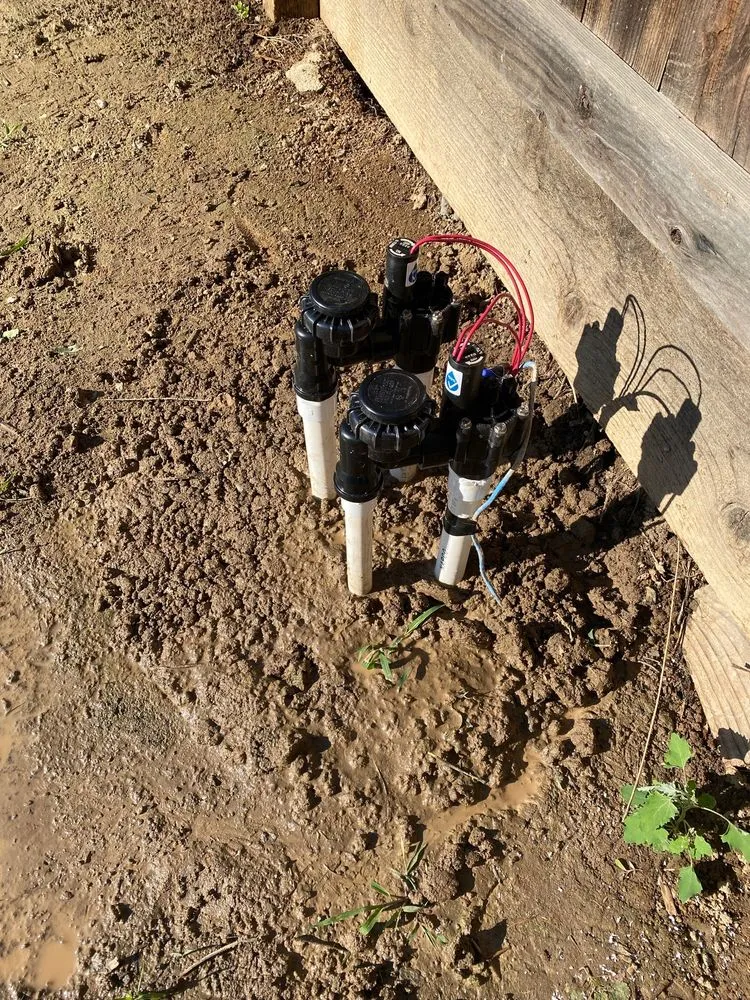 Professional residential landscaping near you in Fresno, CA by Ultimate Landscape and Tree Service