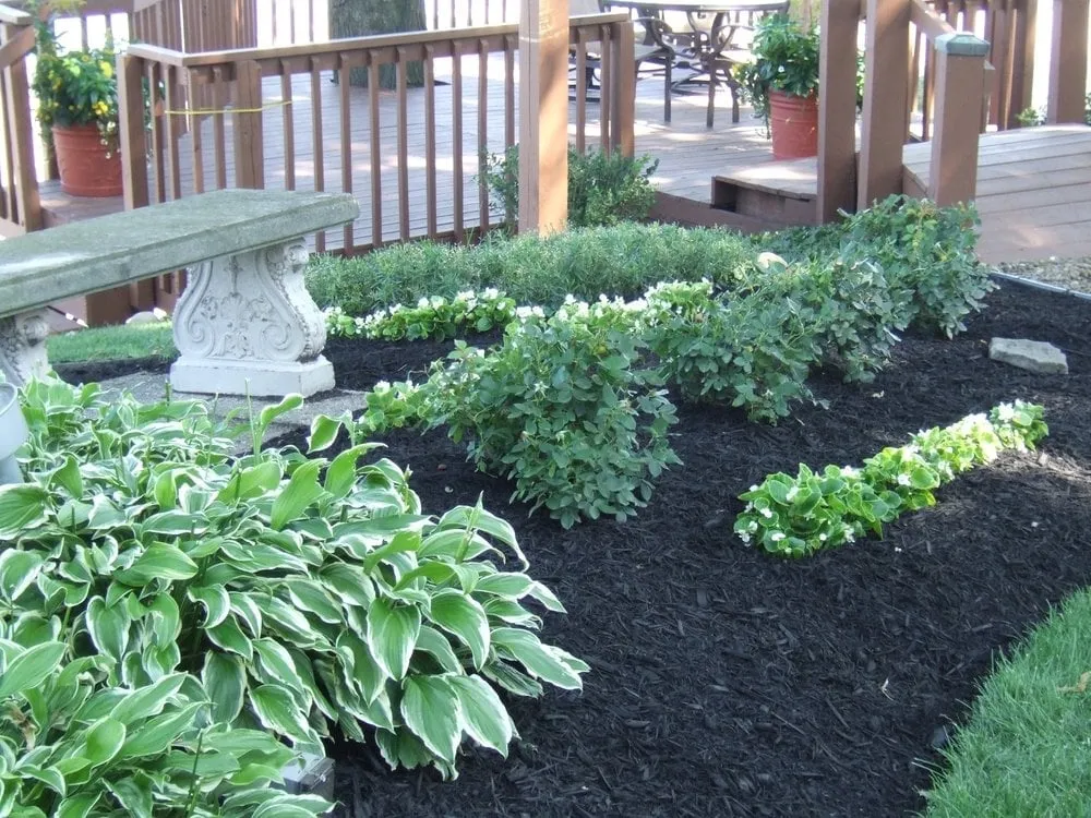 Reliable lawn mowing service experts serving Vermilion, OH - Ultimate Landscape Management