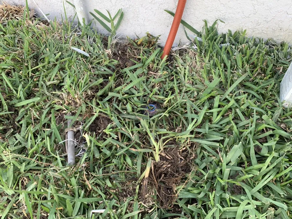 Professional landscape installation for outdoor upgrades across St. Cloud, FL - Ultimate Landscape Services