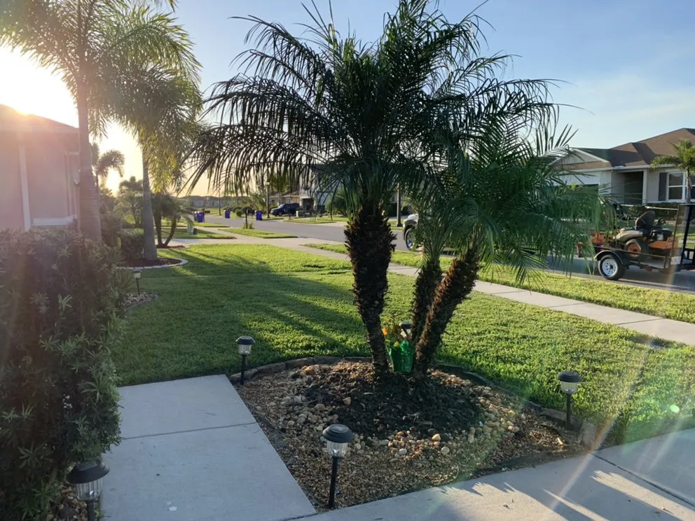 Custom landscaping services for beautiful yards in St. Cloud, FL by Ultimate Landscape Services