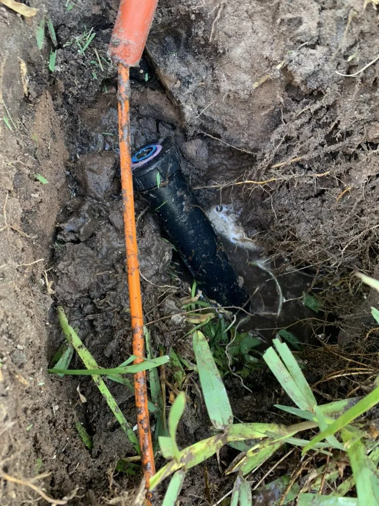 Professional outdoor landscaping for year-round maintenance across St. Cloud, FL - Ultimate Landscape Services