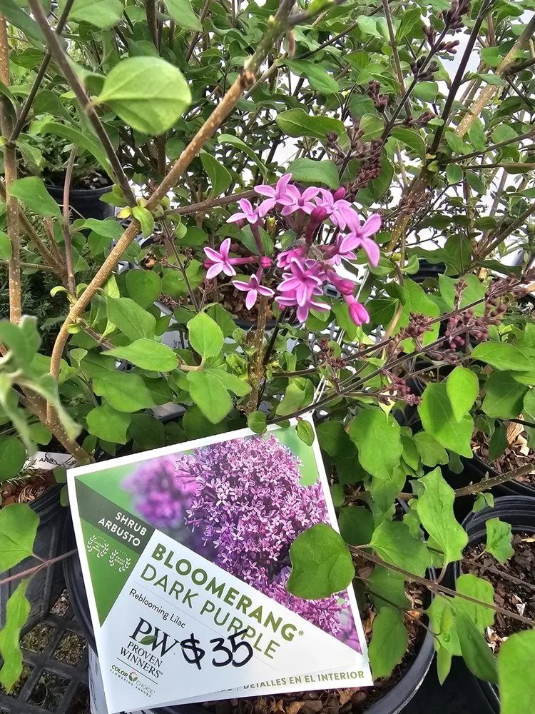 Custom residential landscaping for year-round maintenance in Jamestown, TN by Ultimate Landscape Supply & Nursery