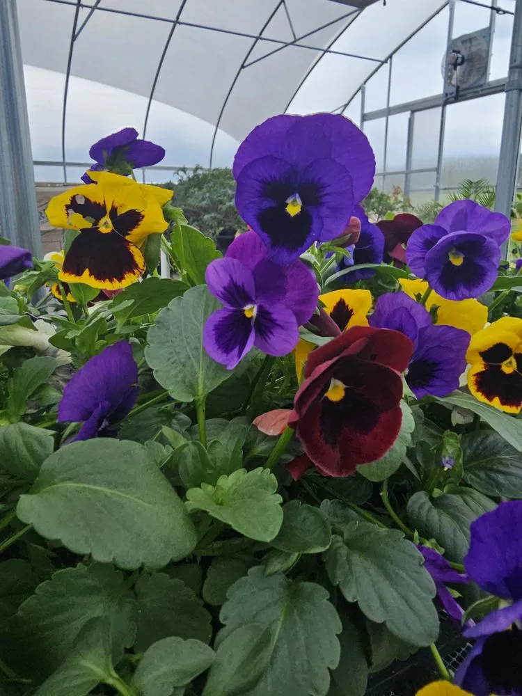 Local landscape installation in Jamestown, TN by Ultimate Landscape Supply & Nursery