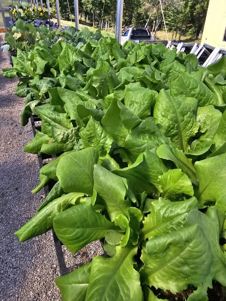 Reliable lawn mowing service in Jamestown, TN by Ultimate Landscape Supply & Nursery