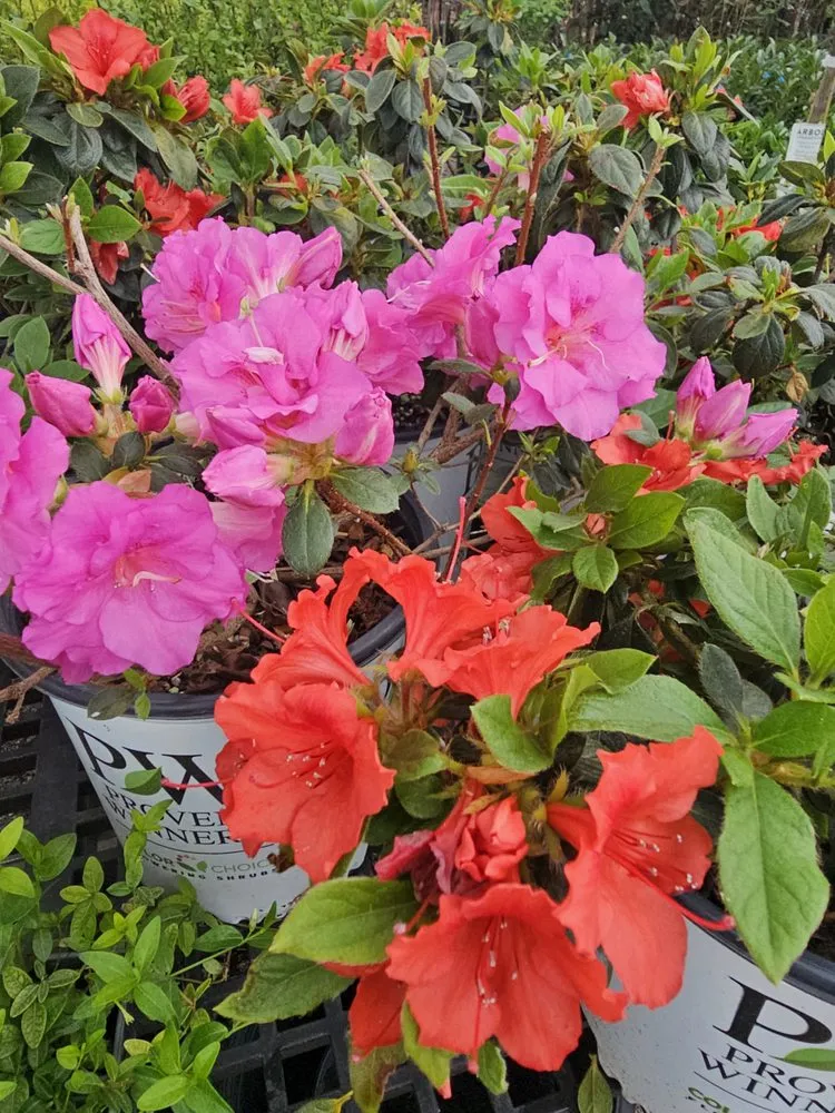 Expert yard cleanup service experts serving Jamestown, TN - Ultimate Landscape Supply & Nursery