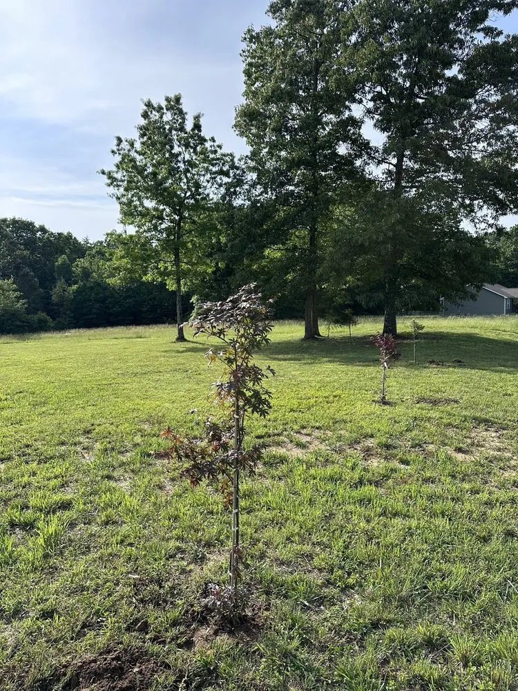 Top-rated landscape installation for year-round maintenance across Jamestown, TN - Ultimate Landscape Supply & Nursery