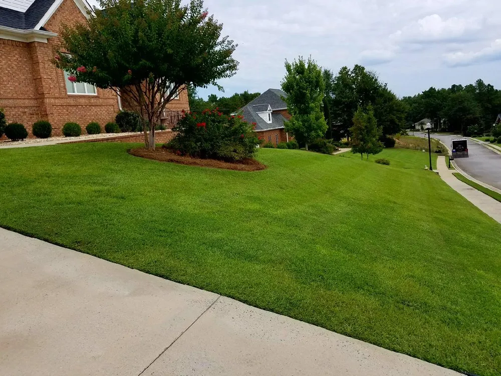 Custom landscape installation in Macon, GA by Ultimate Landscaping