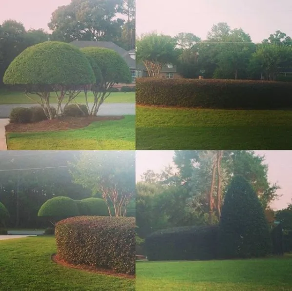 Trusted yard maintenance in Macon, GA by Ultimate Landscaping