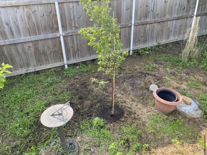 Trusted landscape installation in Sawyer, OK by Ultimate Landscaping