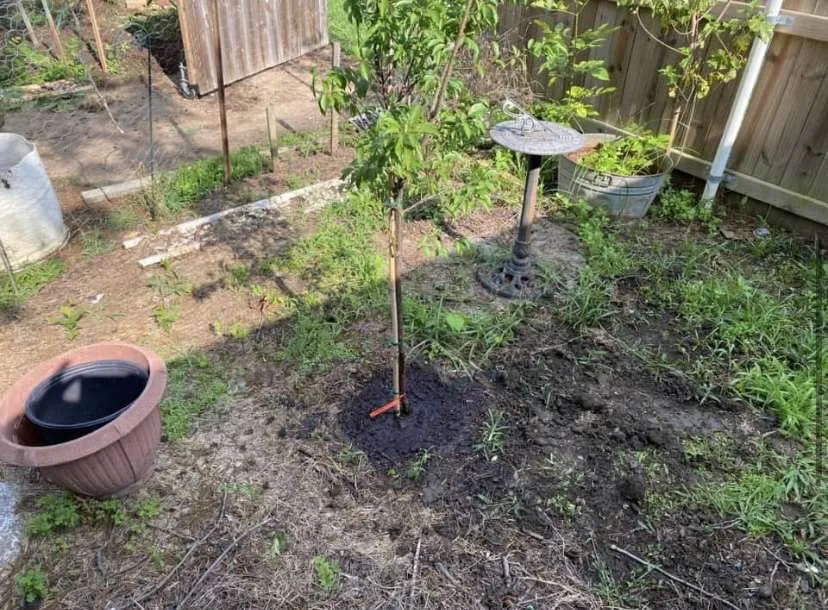 Affordable outdoor landscaping for residential properties in Sawyer, OK by Ultimate Landscaping