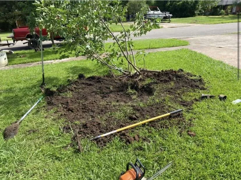 Reliable yard maintenance in Sawyer, OK - Ultimate Landscaping