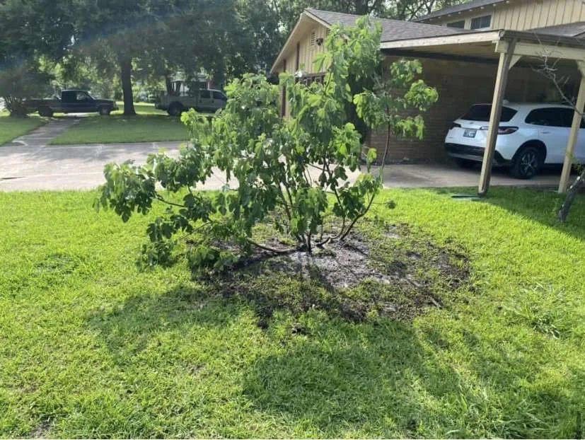 Trusted landscaping services experts serving Sawyer, OK - Ultimate Landscaping