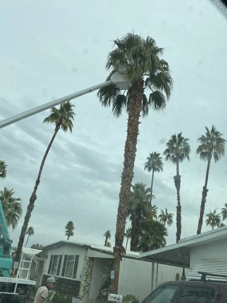 Top-rated lawn mowing service in Thermal, CA by Ultimate Landscaping