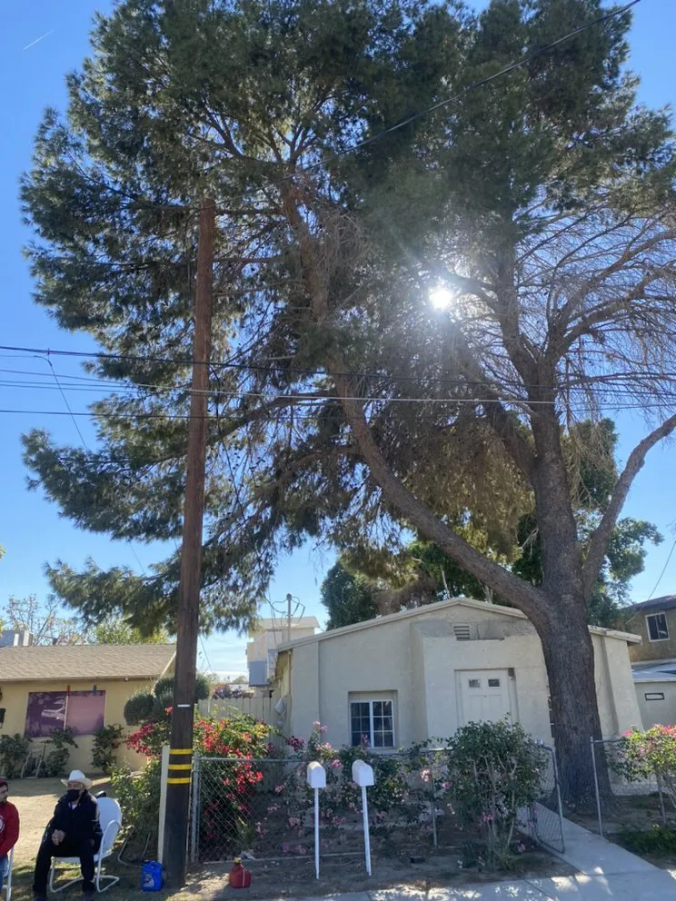 Affordable landscape installation in Thermal, CA by Ultimate Landscaping