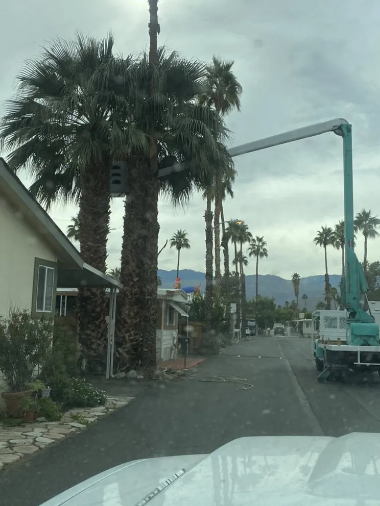 Professional yard maintenance for homes in Thermal, CA by Ultimate Landscaping