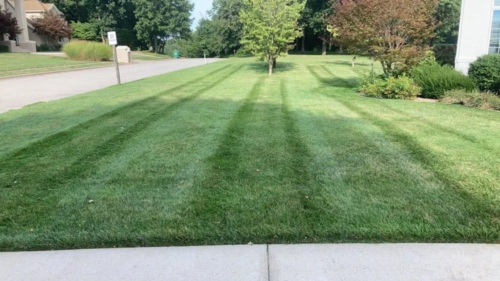 Custom lawn mowing service in Greenfield, MO - Ultimate Lawn & Home