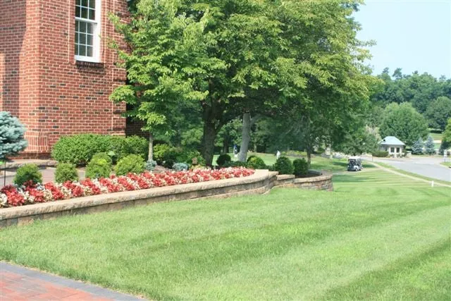 Professional lawn care service in Lexington, KY by Ultimate Lawn & Landscape