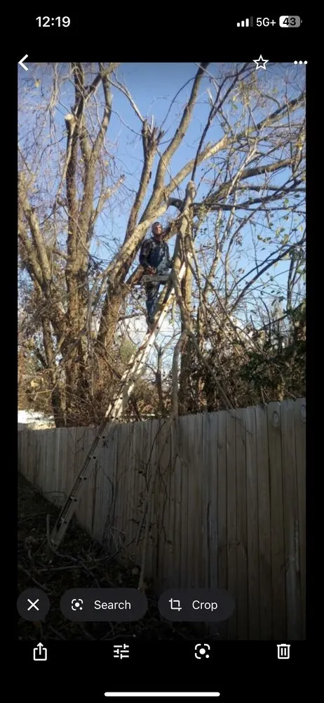 Trusted landscape installation near you across Moore, OK - ultimate Lawn Care & Handy Work