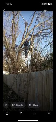 ultimate Lawn Care & Handy Work Logo