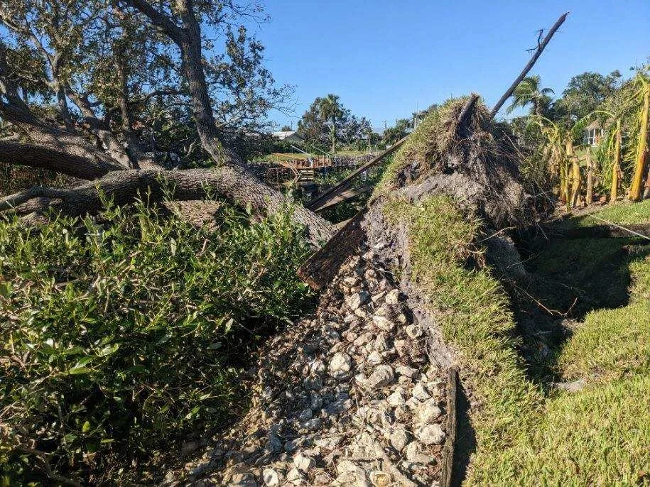 Reliable landscaping services for beautiful yards in Venice, FL by Ultimate Lawn Care & Tree Division