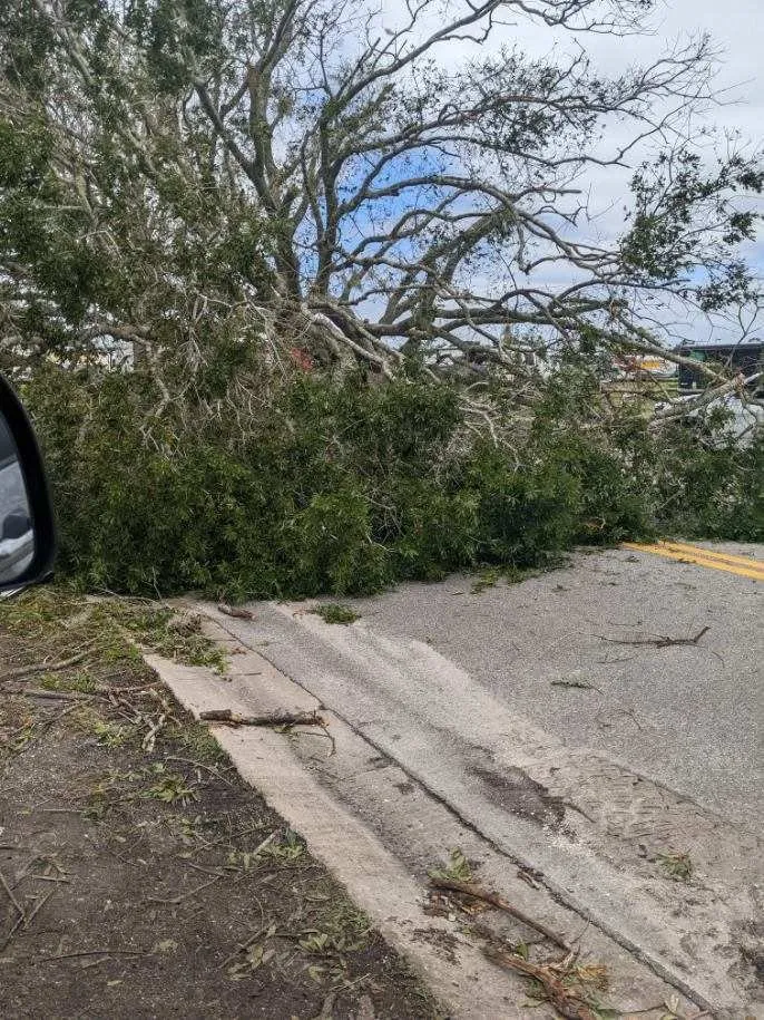 Trusted landscape design in Venice, FL - Ultimate Lawn Care & Tree Division