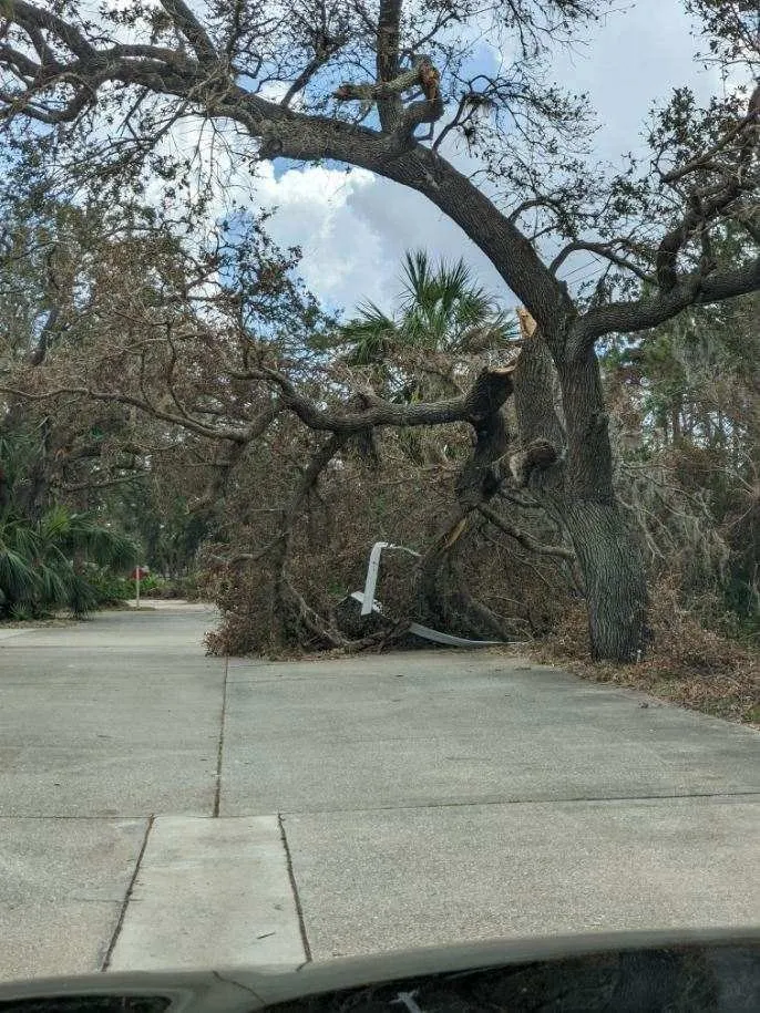 Expert outdoor landscaping for outdoor upgrades across Venice, FL - Ultimate Lawn Care & Tree Division