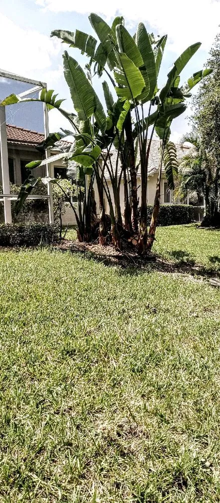 Top-rated landscaping services for outdoor upgrades in Venice, FL by Ultimate Lawn Care & Tree Division