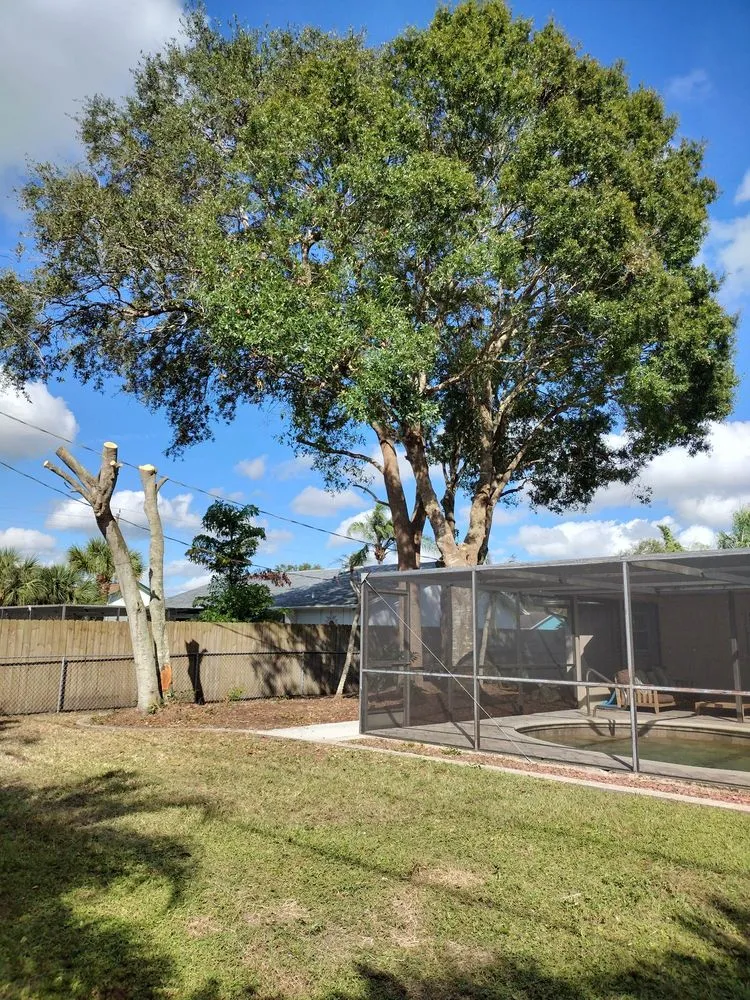 Affordable landscape design near you across Venice, FL - Ultimate Lawn Care & Tree Division