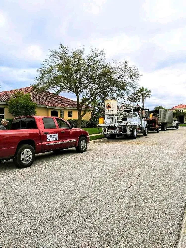 Expert landscape installation in Venice, FL by Ultimate Lawn Care & Tree Division