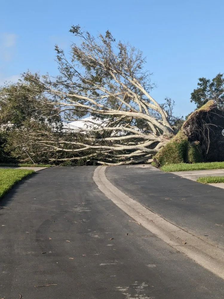 Professional landscaping services for homes across Venice, FL - Ultimate Lawn Care & Tree Division