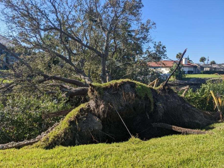 Expert yard maintenance in Venice, FL - Ultimate Lawn Care & Tree Division