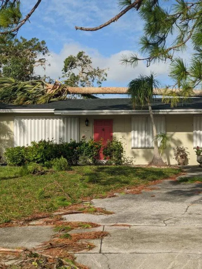 Local landscape installation in Venice, FL by Ultimate Lawn Care & Tree Division