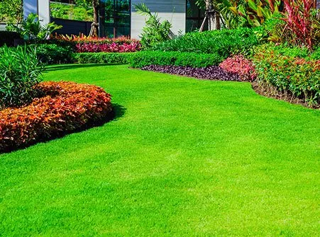Top-rated residential landscaping in St. Louis, MO by Ultimate Lawn Care