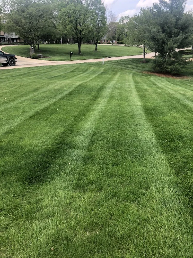 Expert outdoor landscaping in St. Louis, MO by Ultimate Lawn Care