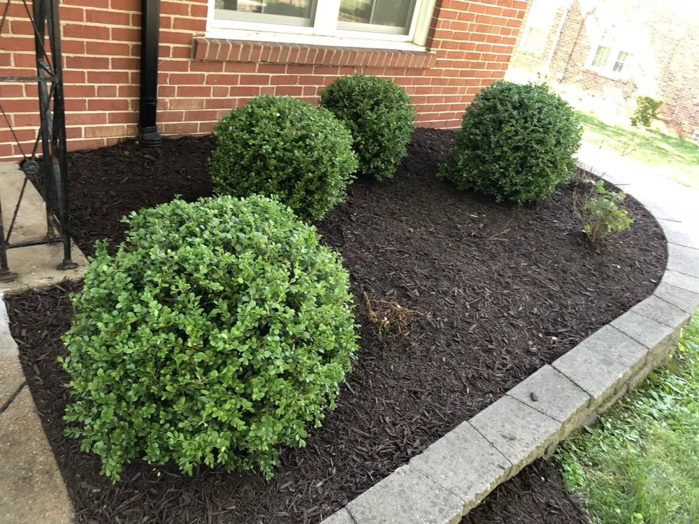 Reliable outdoor landscaping for outdoor upgrades across St. Louis, MO - Ultimate Lawn Care