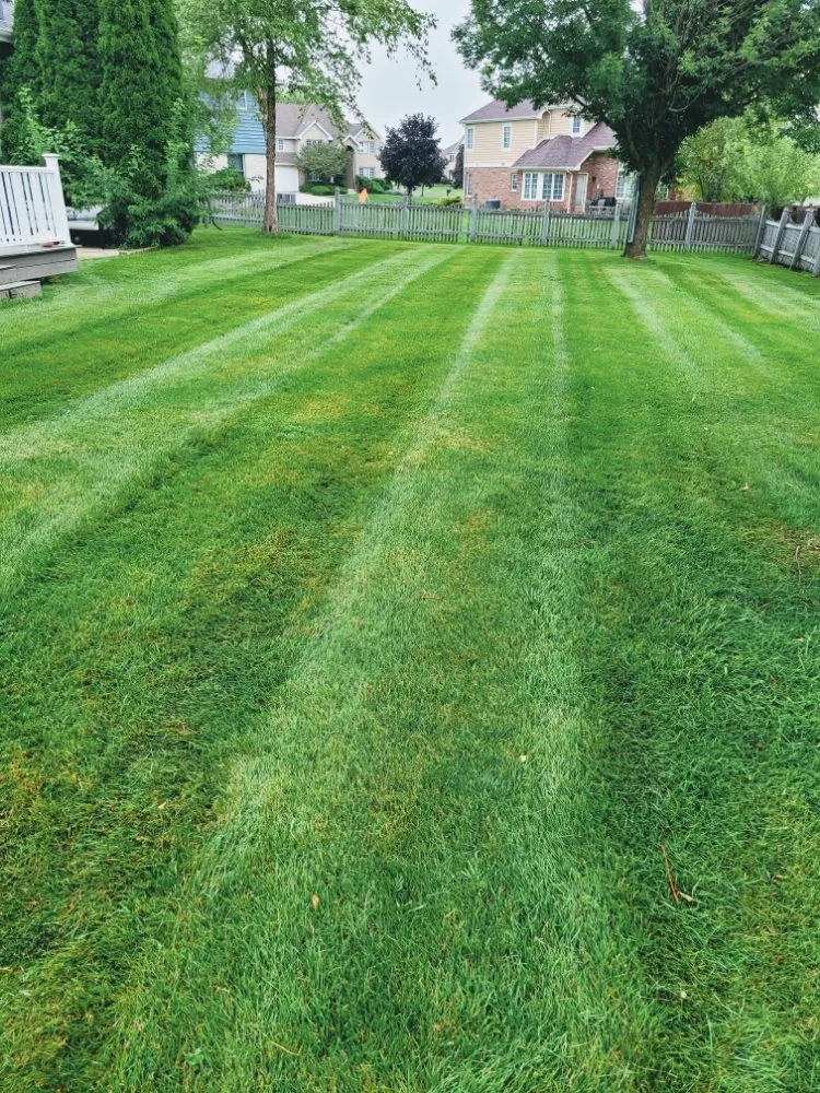 Affordable landscape installation in Tinley Park, IL by Ultimate Lawn Care