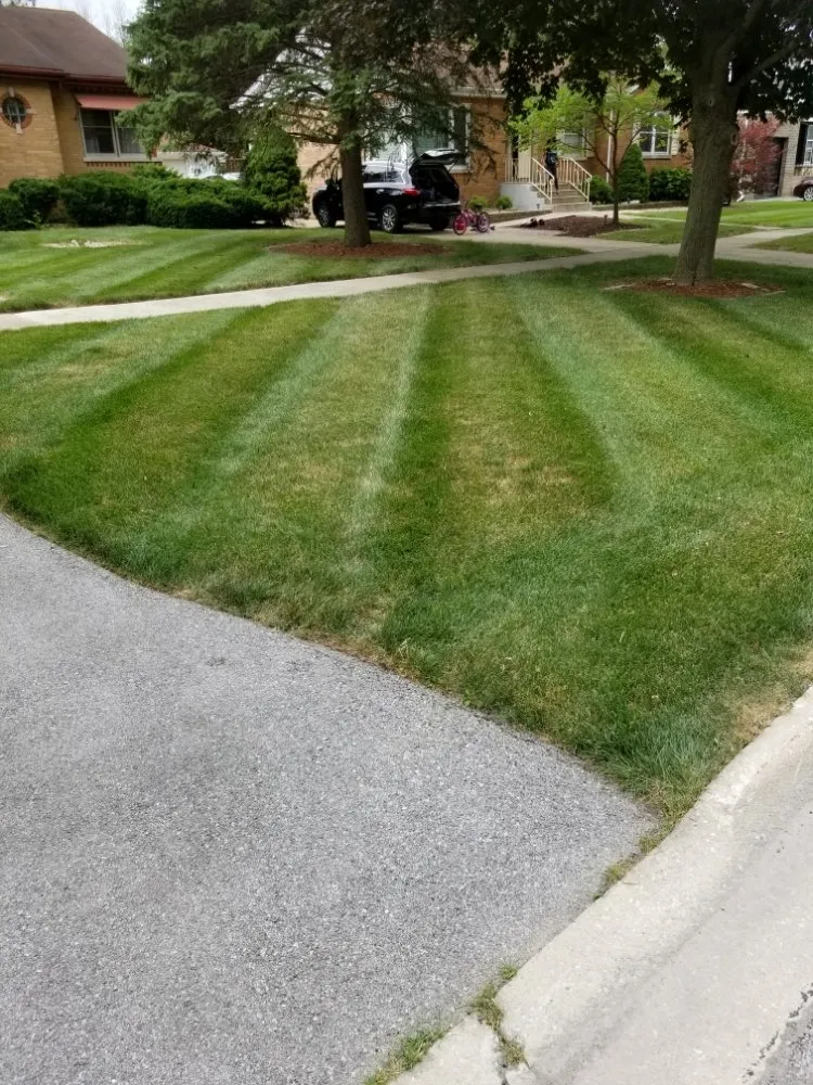 Trusted yard maintenance in Tinley Park, IL - Ultimate Lawn Care