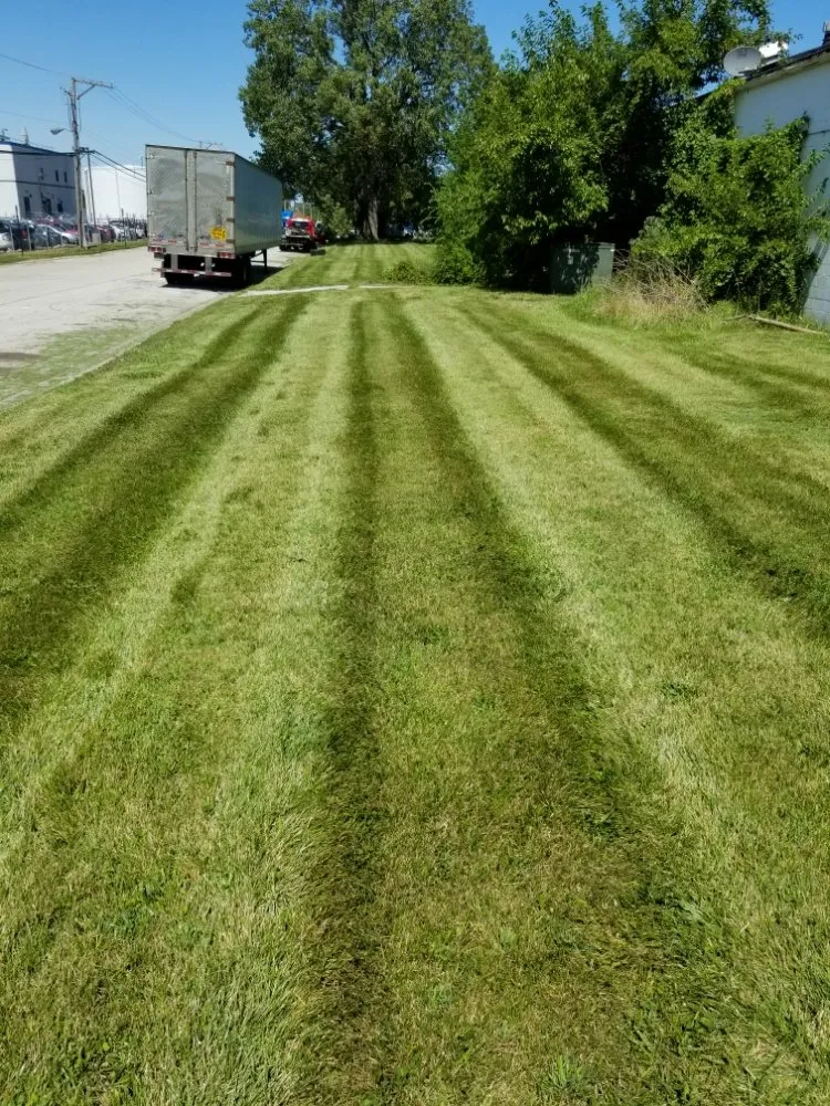 Custom landscaping services near you in Tinley Park, IL by Ultimate Lawn Care