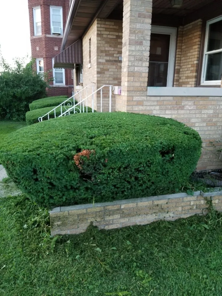 Expert garden landscaping in Tinley Park, IL by Ultimate Lawn Care