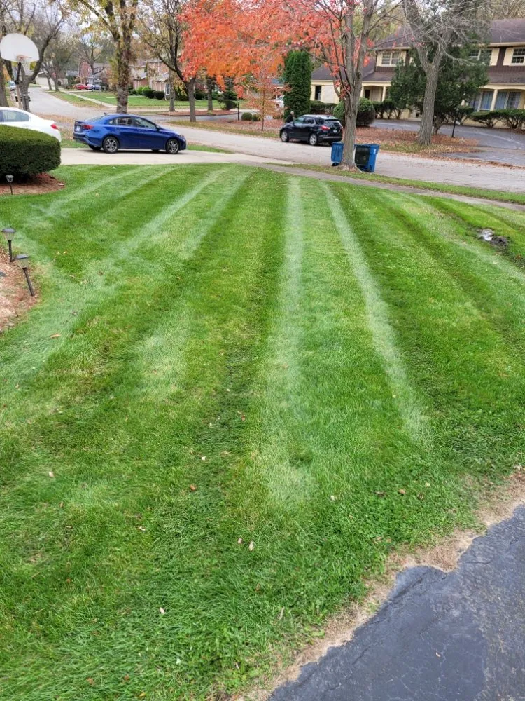 Affordable lawn care service experts serving Tinley Park, IL - Ultimate Lawn Care