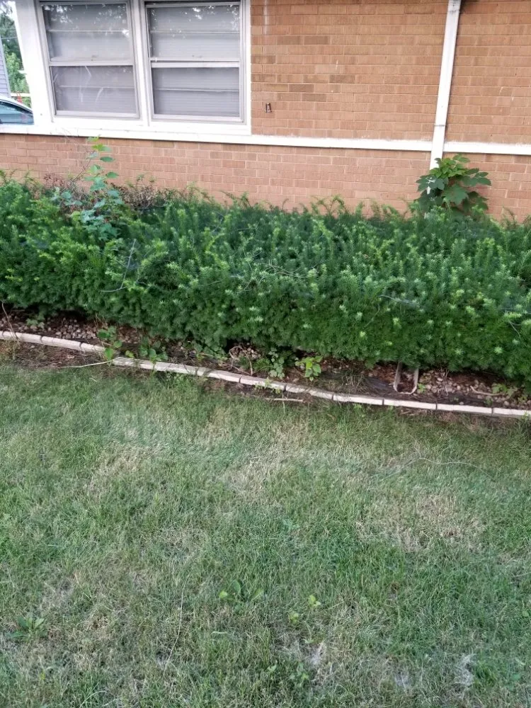 Professional landscape design experts serving Tinley Park, IL - Ultimate Lawn Care