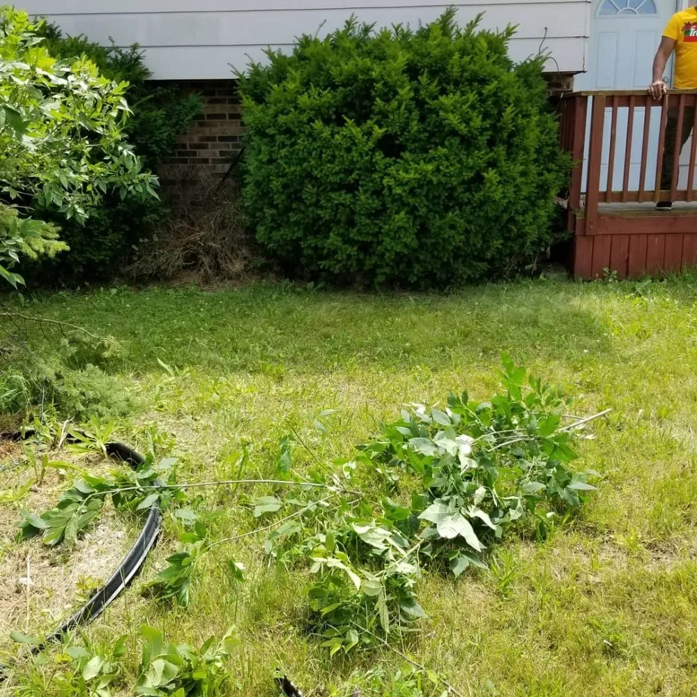 Reliable outdoor landscaping experts serving Tinley Park, IL - Ultimate Lawn Care