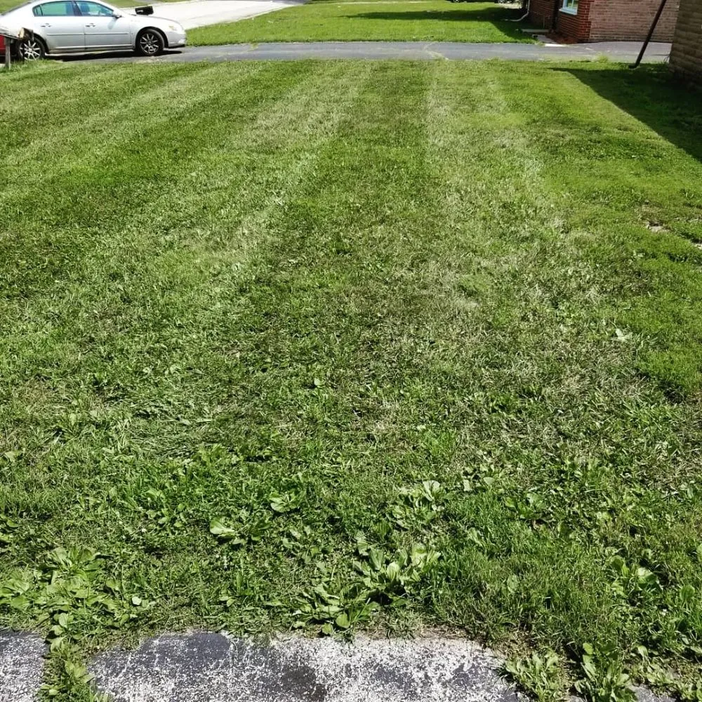 Trusted landscape installation experts serving Tinley Park, IL - Ultimate Lawn Care