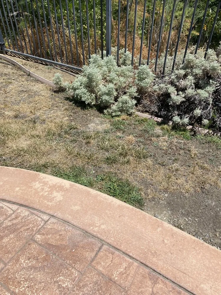 Professional lawn mowing service experts serving Vacaville, CA - Ultimate Lawn Care