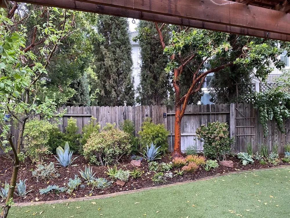 Professional lawn mowing service in Vacaville, CA - Ultimate Lawn Care