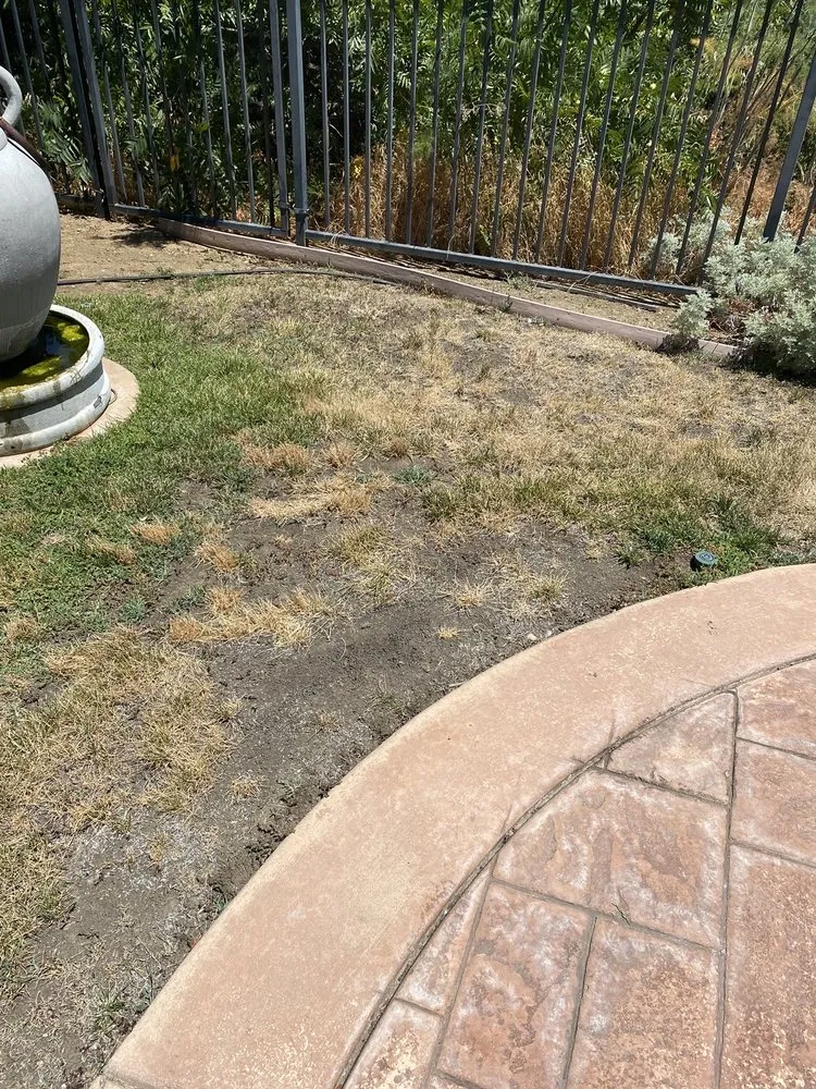 Affordable lawn mowing service for beautiful yards in Vacaville, CA by Ultimate Lawn Care