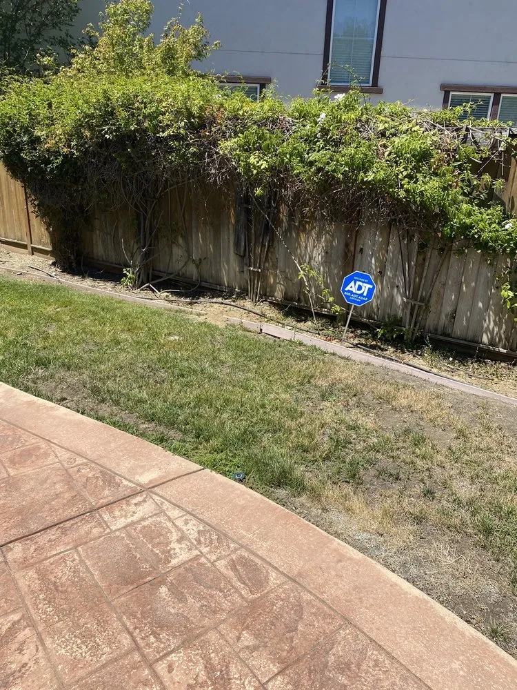 Trusted lawn care service experts serving Vacaville, CA - Ultimate Lawn Care